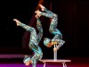 Продолжается прием заявок на XIII Всероссийский фестиваль любительских цирковых коллективов «Сальто в будущее»