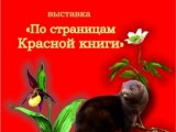 Выставка «По страницам Красной книги»